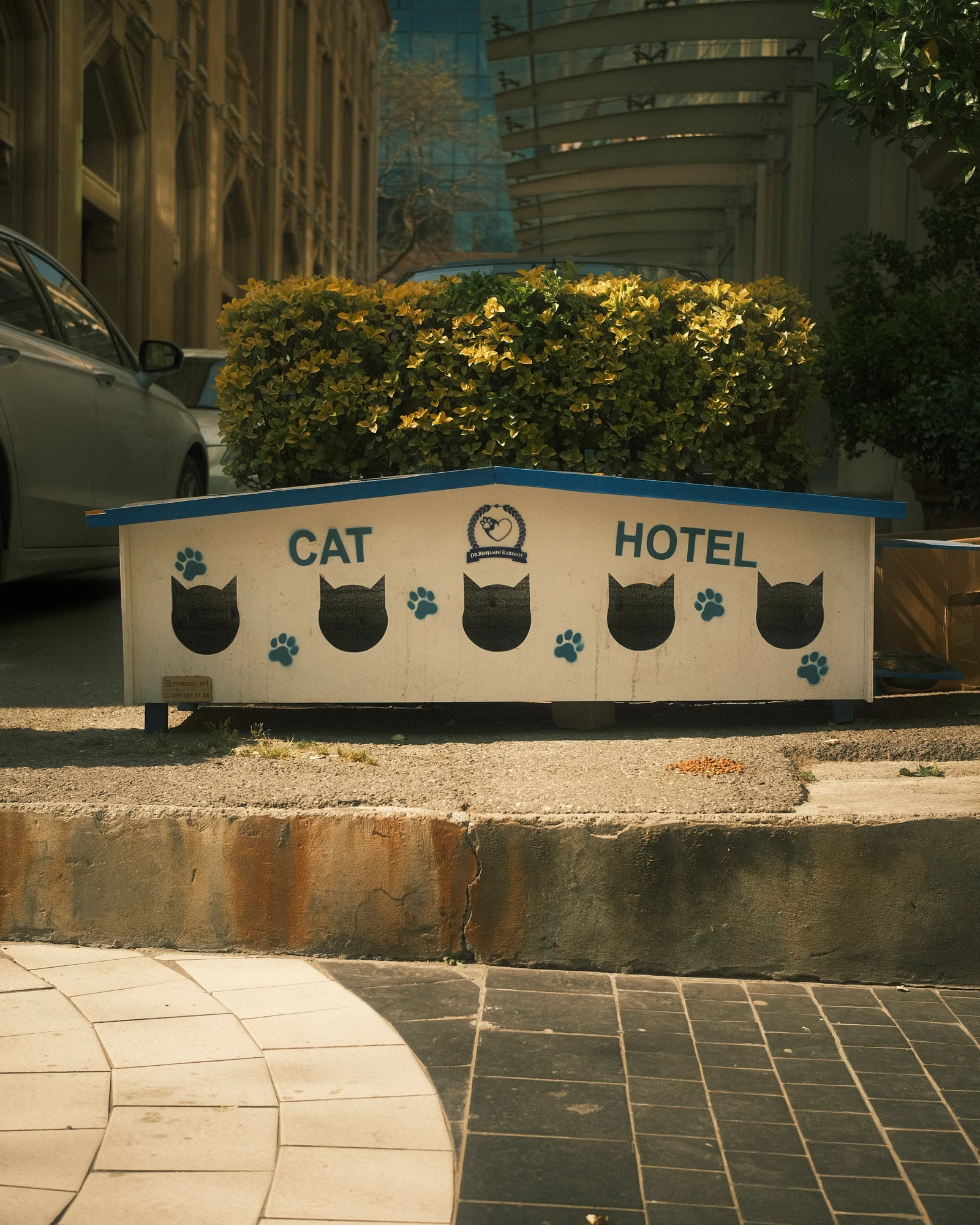 A street cat hotel beside a city sidewalk